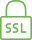 SSL Icon
