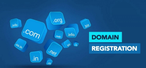 Significance of  Domain Registration